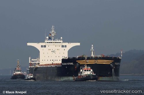 vessel Golden Future IMO: 9443607, Bulk Carrier
