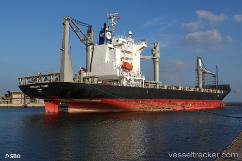 vessel FERDINANDA S IMO: 9445019, Container Ship