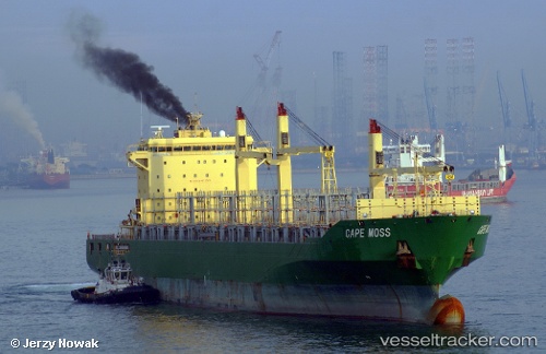 vessel Cape Moss IMO: 9445916, Container Ship
