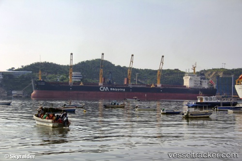 vessel CHANG HANG ZHUO HAI IMO: 9446697, Bulk Carrier