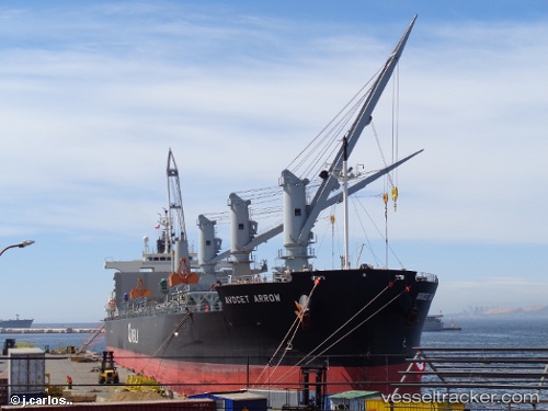 vessel Avocet Arrow IMO: 9448255, Bulk Carrier
