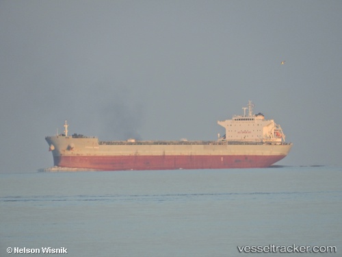 vessel NEW KNIGHT IMO: 9453391, Bulk Carrier