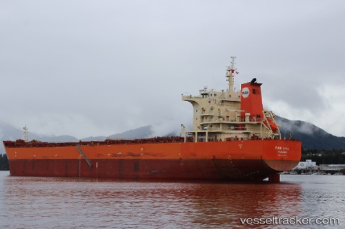 vessel Pan Viva IMO: 9453494, Bulk Carrier
