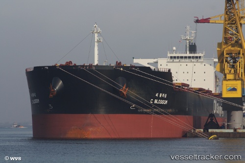 vessel F.sun IMO: 9454333, Bulk Carrier
