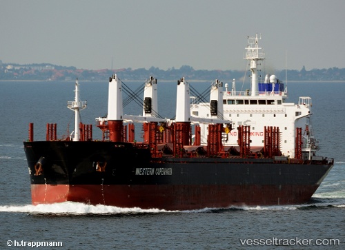 vessel CLIPPER DEE IMO: 9455923, Bulk Carrier