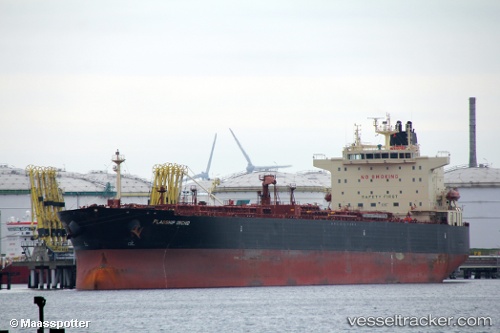vessel Flagship Orchid IMO: 9456939, Crude Oil Tanker
