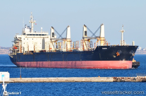 vessel Fleet Trader 2 IMO: 9460253, Bulk Carrier