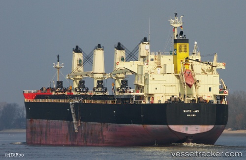vessel EXPLORER AFRICA IMO: 9460394, Bulk Carrier