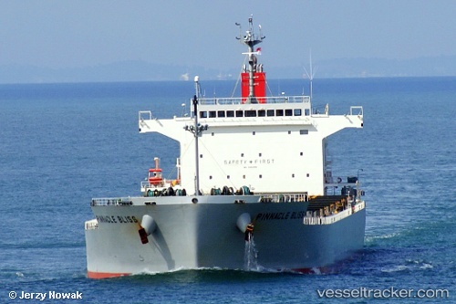 vessel Sea Juno IMO: 9460588, Bulk Carrier
