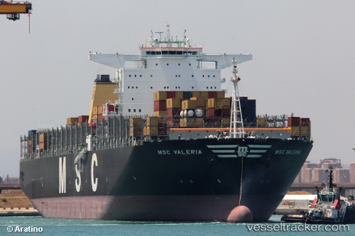 vessel Msc Valeria IMO: 9461439, Container Ship
