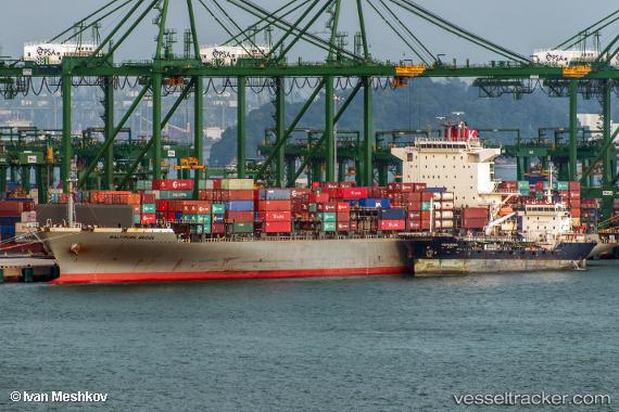 vessel MSC HOUSTON IMO: 9463281, Container Ship