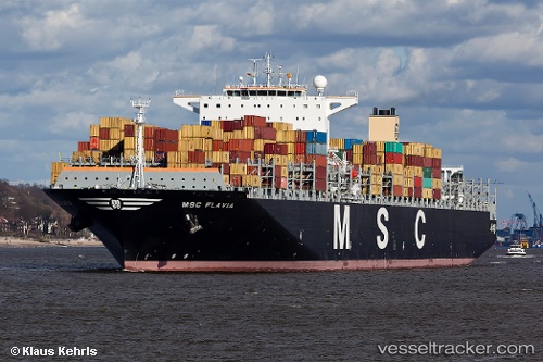 vessel Msc Flavia IMO: 9467433, Container Ship
