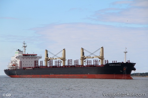 vessel GAT FEELING IMO: 9467615, Bulk Carrier