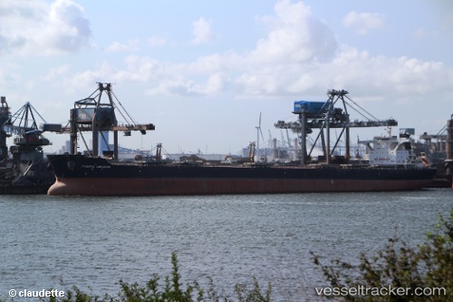 vessel Pacific Creation IMO: 9469974, Bulk Carrier
