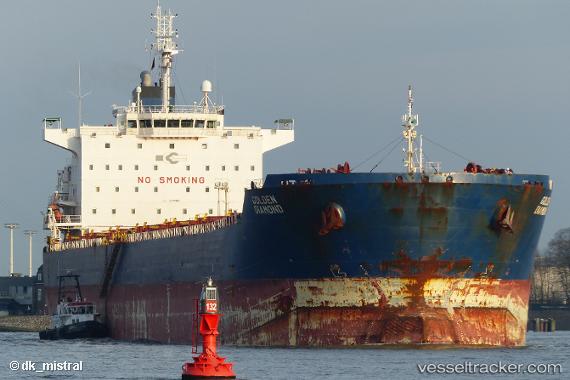 vessel Golden Diamond IMO: 9470387, Bulk Carrier
