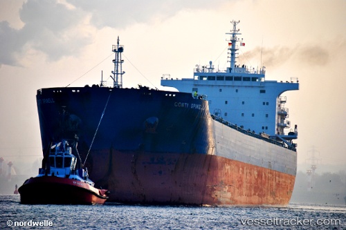 vessel NESTOR S IMO: 9473341, Bulk Carrier