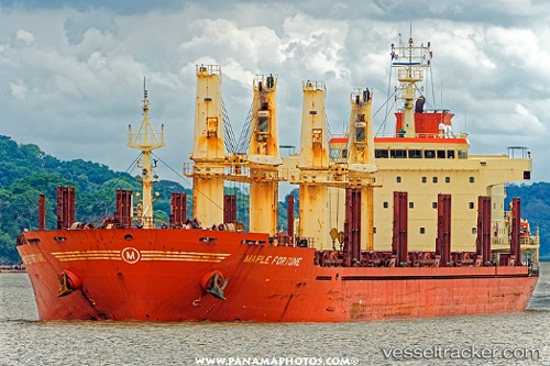vessel Maple Fortune IMO: 9473432, Bulk Carrier

