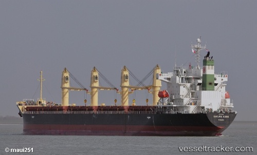 vessel HANDY HEIDI IMO: 9473688, General Cargo Ship