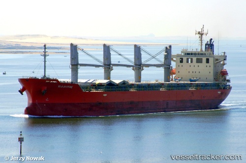 vessel Neptulus IMO: 9473705, Bulk Carrier
