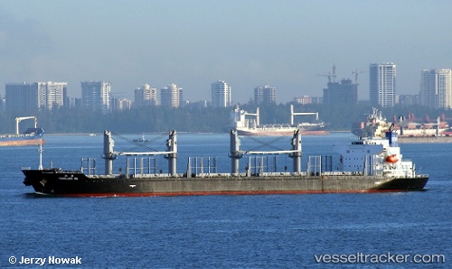 vessel Twinluck Sw IMO: 9473767, Bulk Carrier
