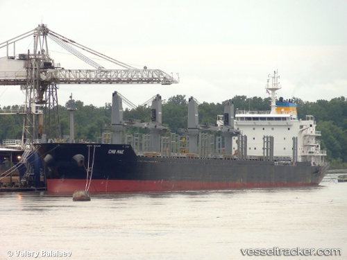 vessel Michel Selmer IMO: 9474216, Bulk Carrier

