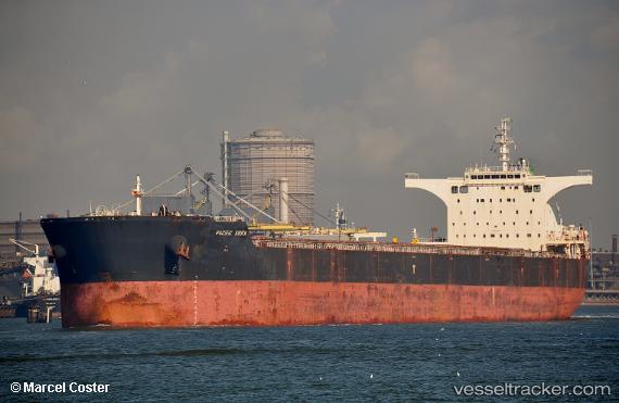 vessel Pacific South IMO: 9474967, Bulk Carrier
