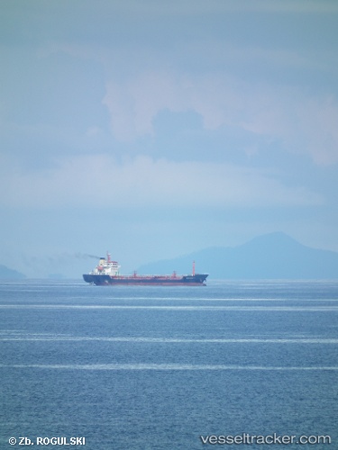 vessel '271048201' IMO: 9477177, 