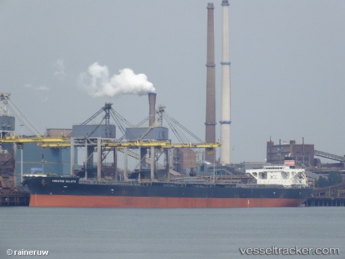 vessel Amazing Salute IMO: 9477232, Bulk Carrier
