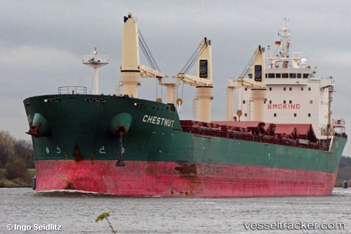 vessel Chestnut IMO: 9477866, Bulk Carrier
