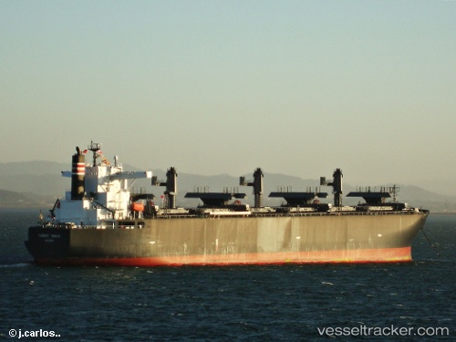 vessel Forest Venus IMO: 9477933, Wood Chips Carrier
