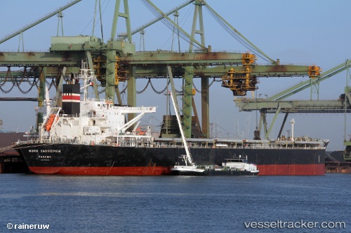 vessel Baby Cassiopeia IMO: 9478846, Bulk Carrier
