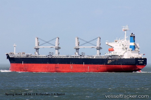 vessel Spring Hawk IMO: 9478872, Bulk Carrier
