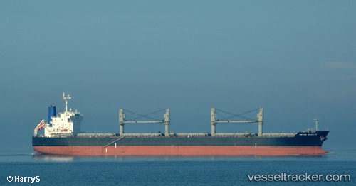 vessel '215882000' IMO: 9479034, 