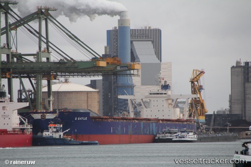 vessel Golden Gayle IMO: 9479228, Bulk Carrier
