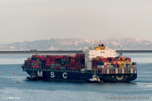 vessel Msc Cadiz IMO: 9480203, Container Ship
