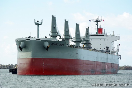 vessel Sunny Hope IMO: 9482134, Bulk Carrier
