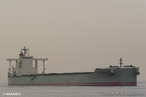 vessel Cape Tsubaki IMO: 9482249, Bulk Carrier
