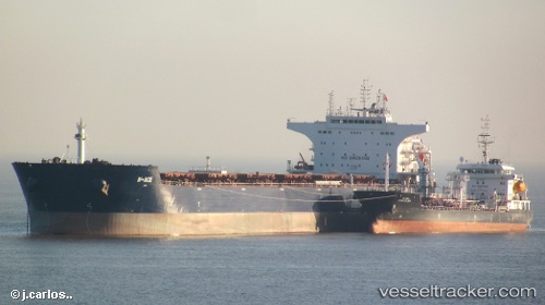 vessel W ace IMO: 9484687, Bulk Carrier
