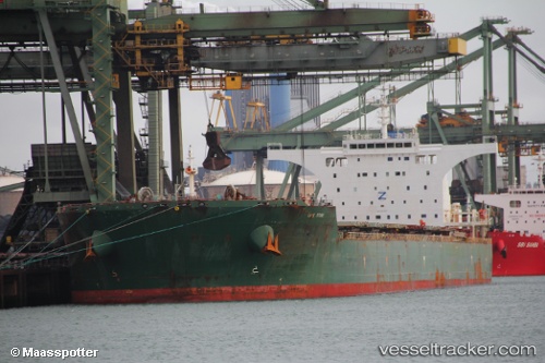 vessel Cape Stork IMO: 9484807, Bulk Carrier
