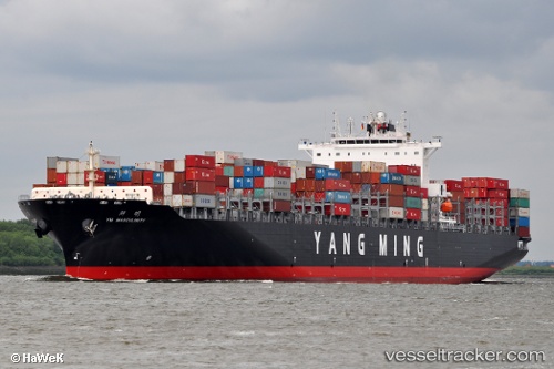 vessel Ym Masculinity IMO: 9485007, Container Ship
