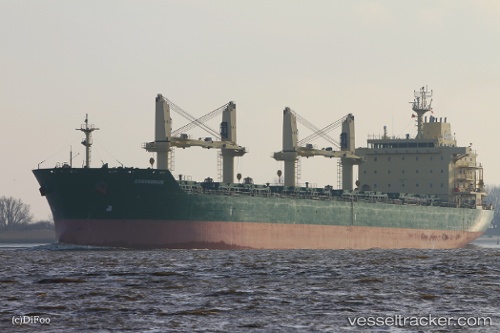 vessel SAFEEN AL AMAL IMO: 9485904, Bulk Carrier