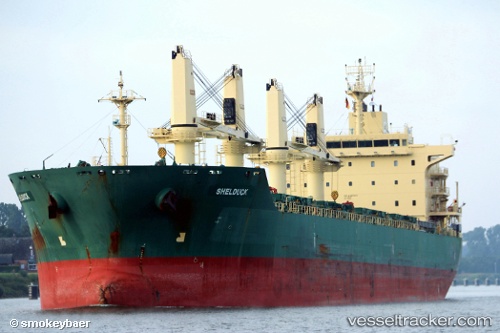 vessel     IMO: 9485930, 