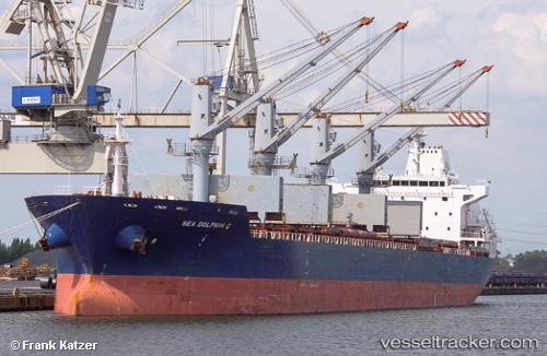 vessel Sea Dolphin C IMO: 9486427, Bulk Carrier