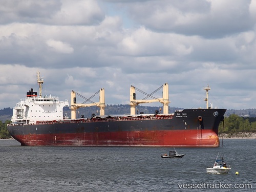 vessel Vishva Ekta IMO: 9487897, Bulk Carrier
