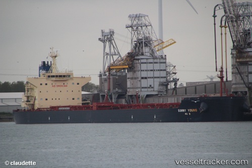 vessel ALPHA IMO: 9489041, Bulk Carrier