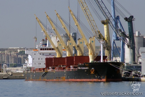 vessel Kestrel S IMO: 9489211, Bulk Carrier