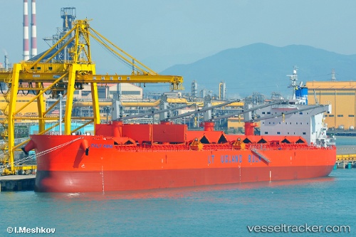 vessel Vinayak IMO: 9493951, Bulk Carrier
