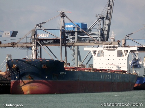 vessel Golden Magnum IMO: 9494230, Bulk Carrier
