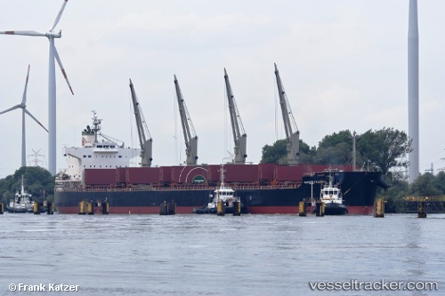 vessel Grande Island IMO: 9496214, Bulk Carrier
