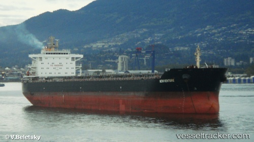 vessel New Venture IMO: 9497622, Bulk Carrier
